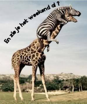 [img width=298 height=356]http://i268.photobucket.com/albums/jj40/Myarno/weekend95.jpg[/img]