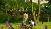 mizukifall