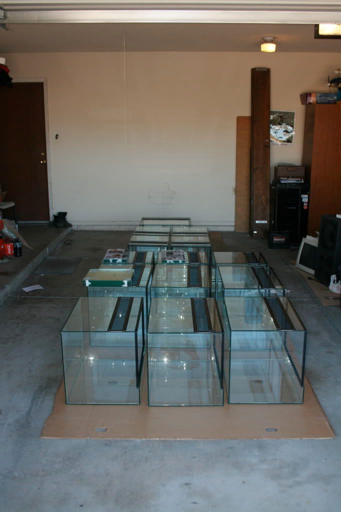 Some new Protean terrariums Dendroboard