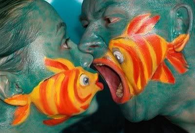 Fish swallow Fish swallow