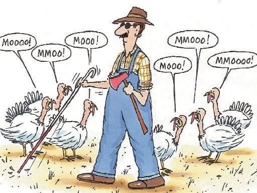 turkeyfarmermoo.jpg