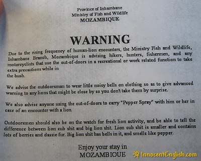 Warning Lions Warning Lions