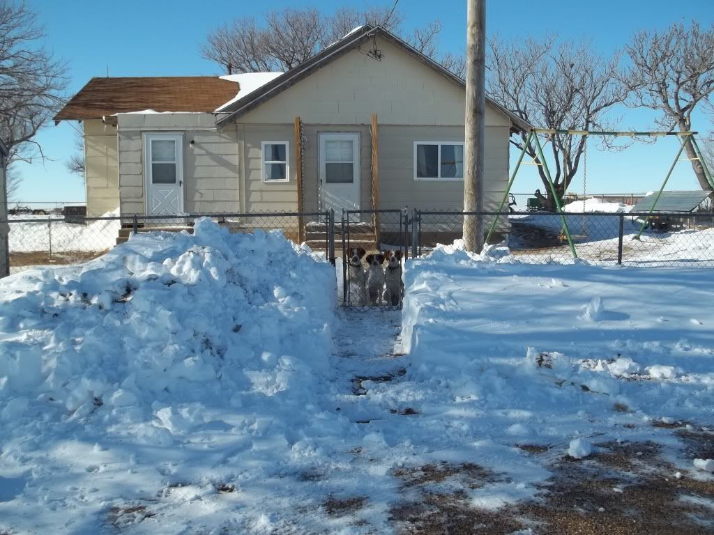 2daysafterBlizzard001.jpg