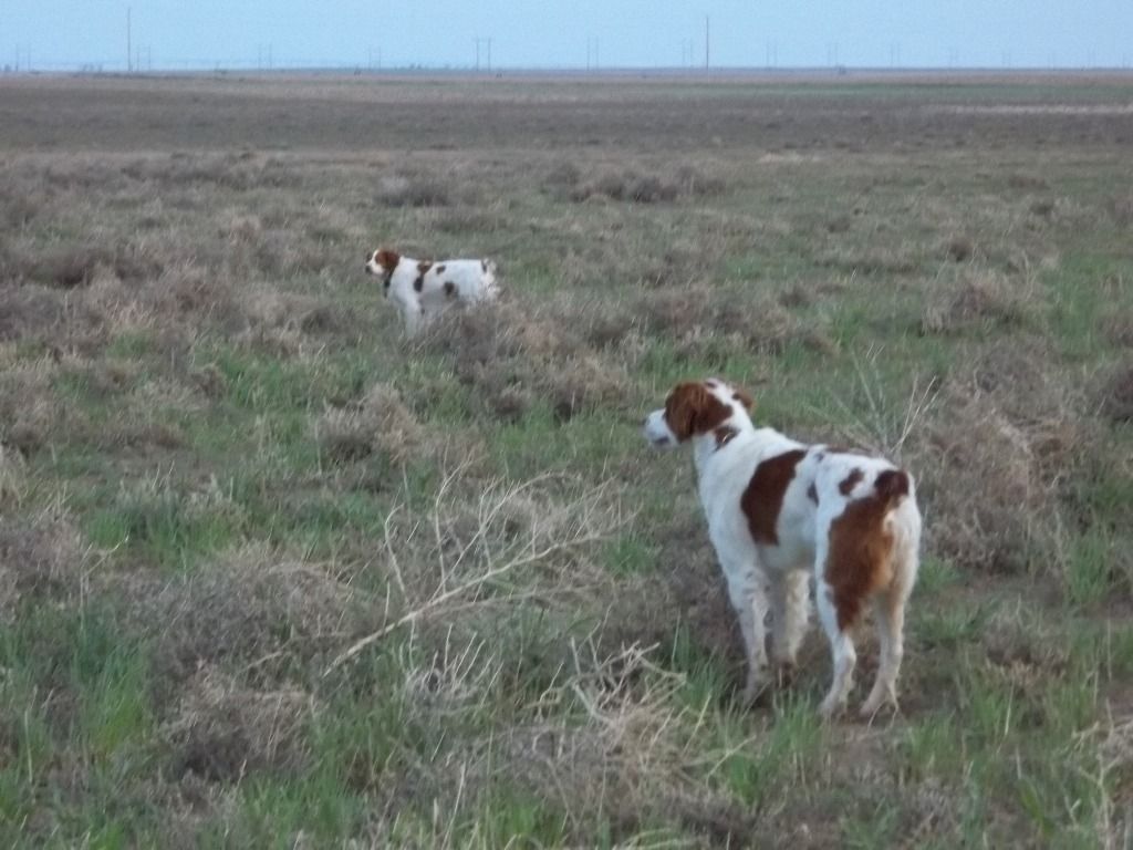4-5-12003.jpg