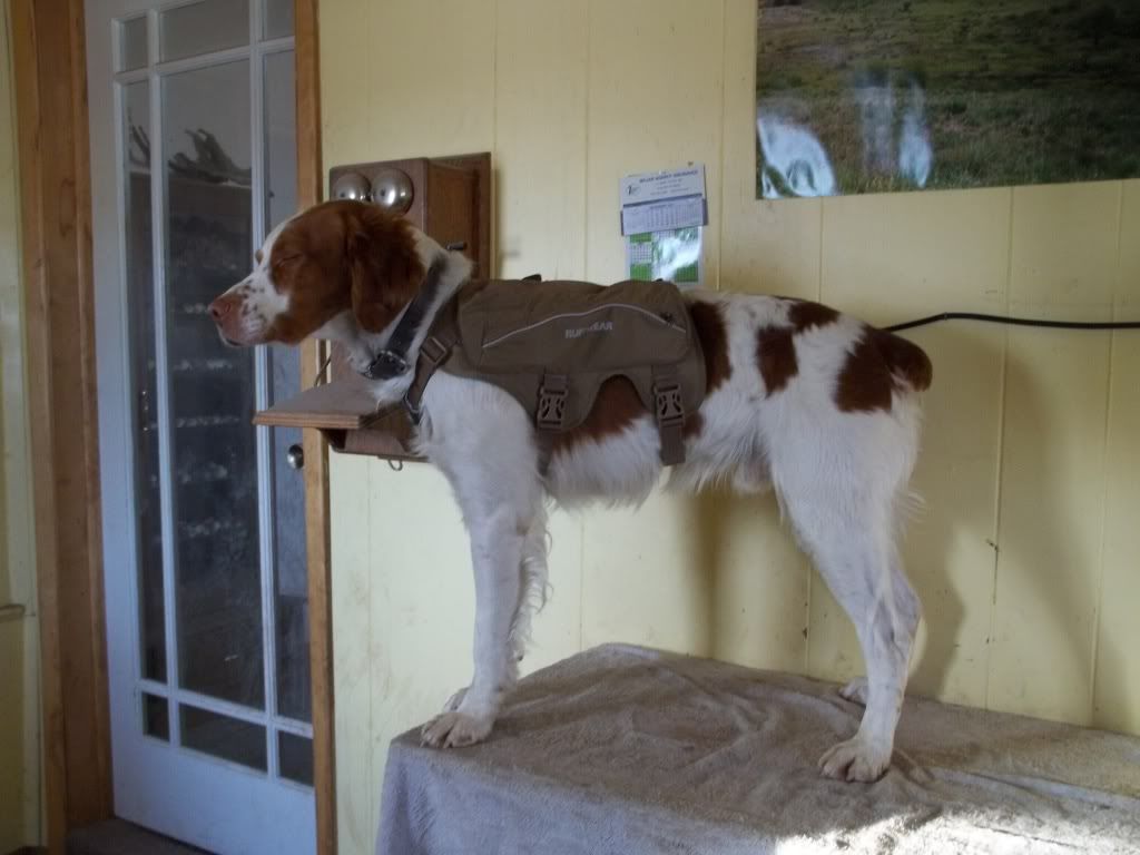 RuffWearpack004.jpg
