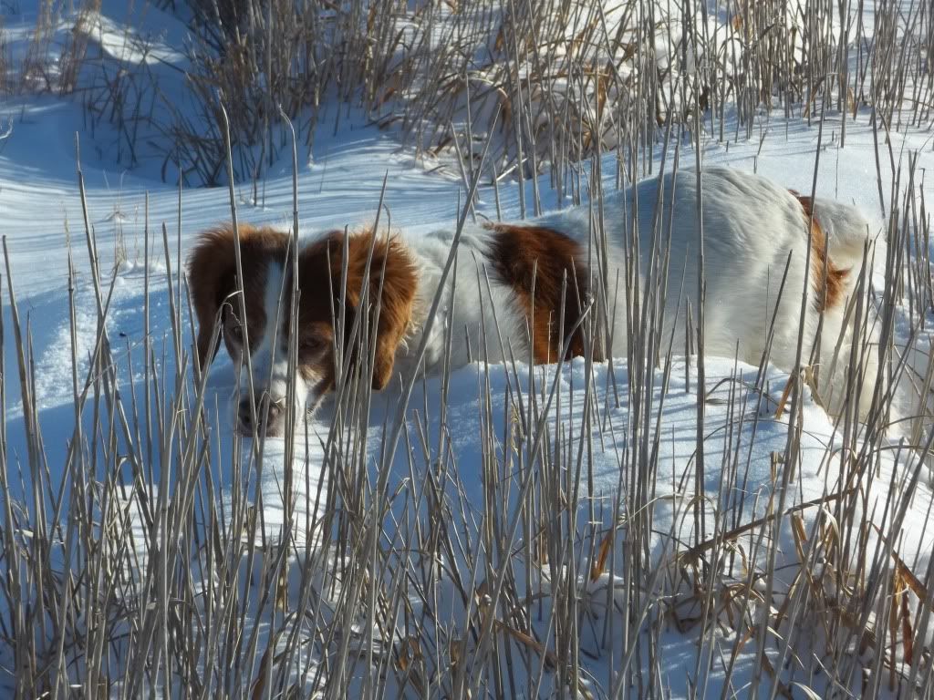 afterBlizzard12202011024.jpg