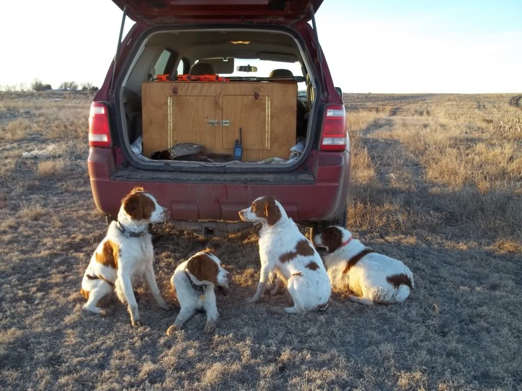 hunt1012011033.jpg