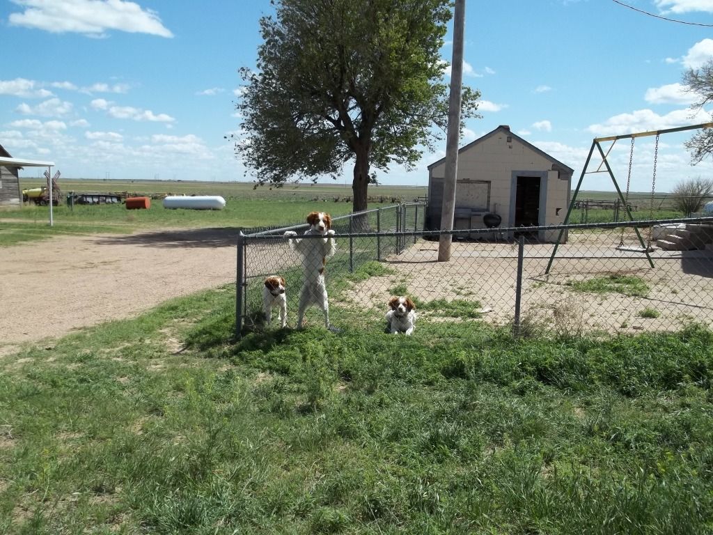 picture-goingtoletthemrun-4-202012006.jpg