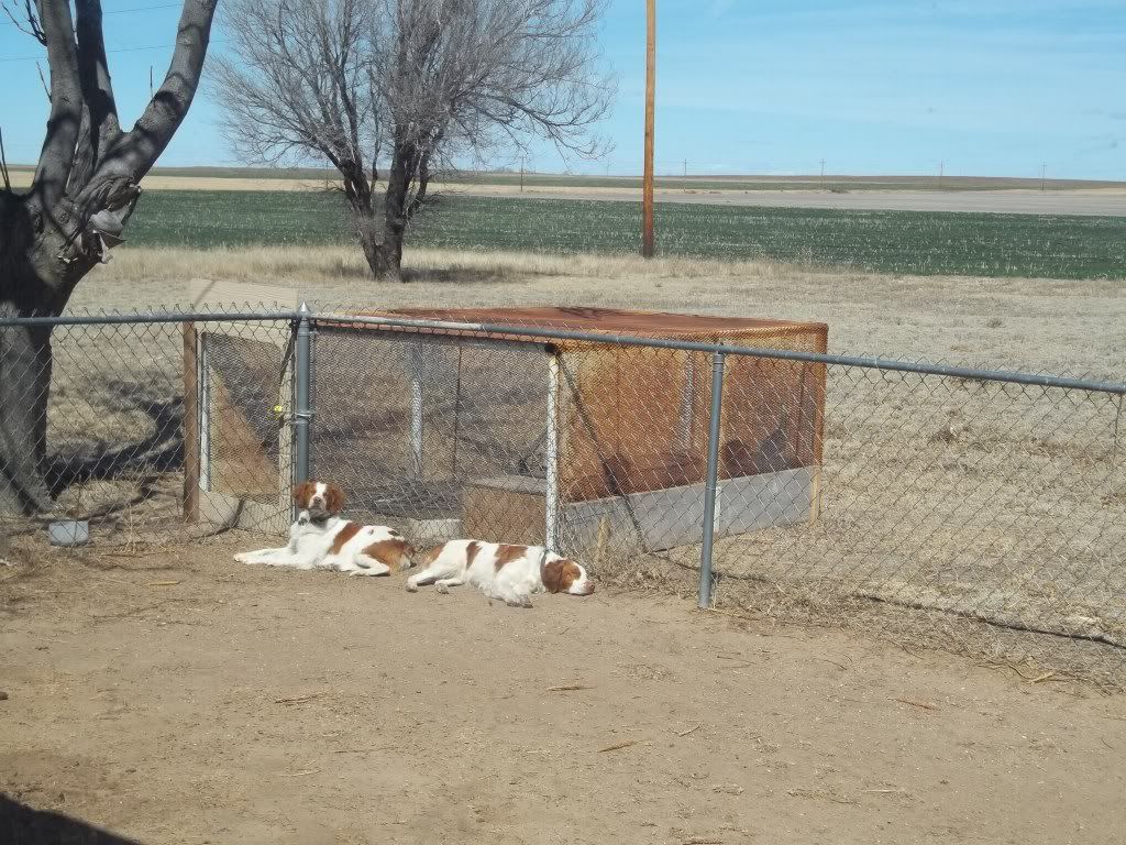 restingwheretheyshould001.jpg