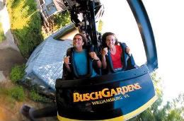 Busch Gardens Williamsburg Roller Coaster