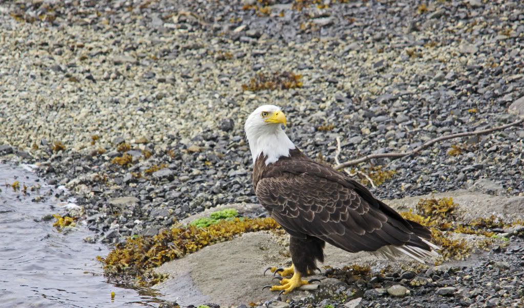 IMAGE: http://i268.photobucket.com/albums/jj8/bragosta/Bigmos.jpg