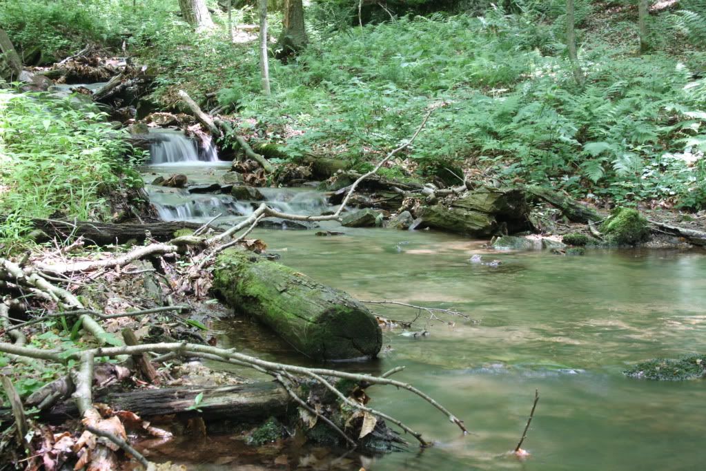 IMAGE: http://i268.photobucket.com/albums/jj8/bragosta/Scenicwater037.jpg