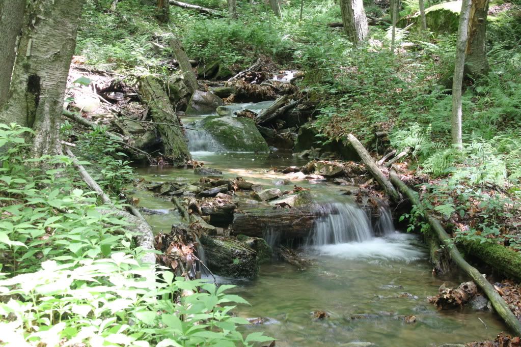 IMAGE: http://i268.photobucket.com/albums/jj8/bragosta/Scenicwater046.jpg