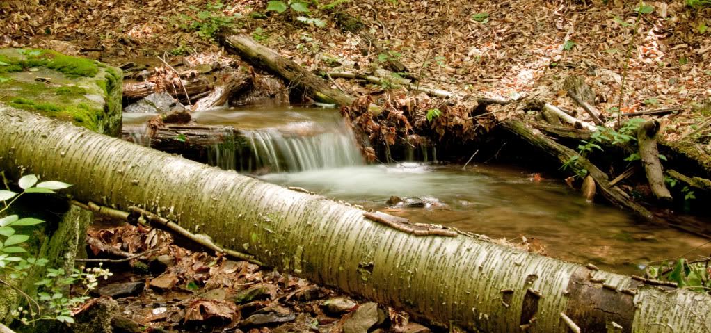 IMAGE: http://i268.photobucket.com/albums/jj8/bragosta/cropped-1.jpg