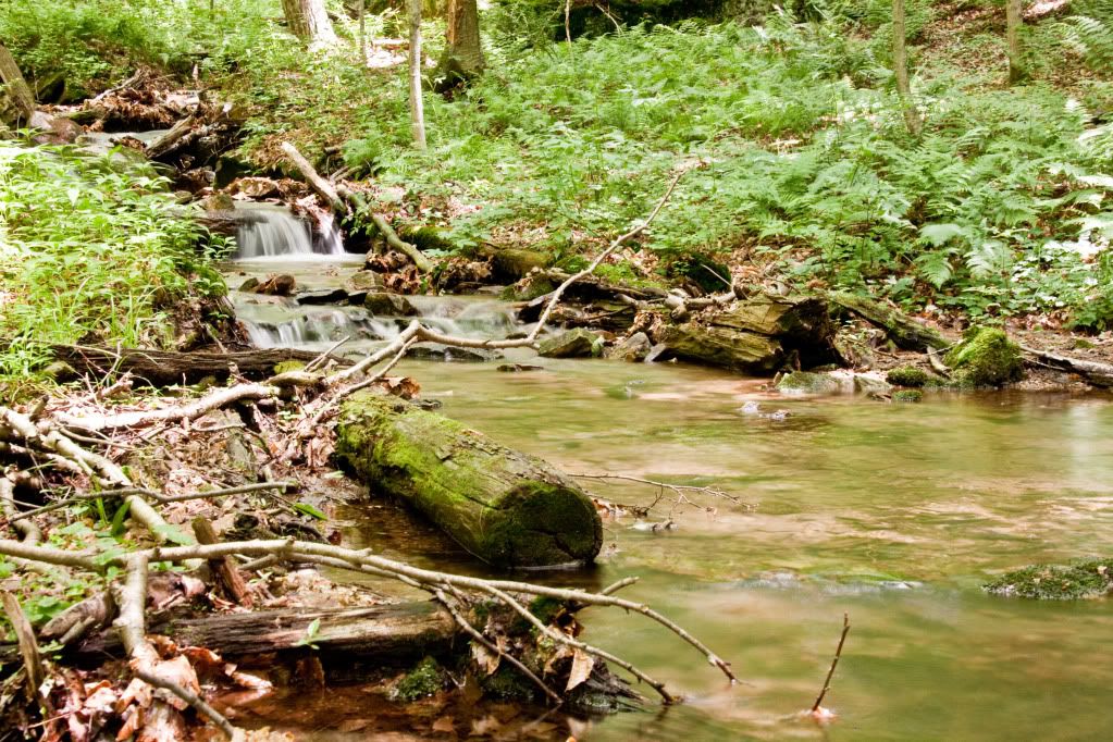 IMAGE: http://i268.photobucket.com/albums/jj8/bragosta/warm37.jpg