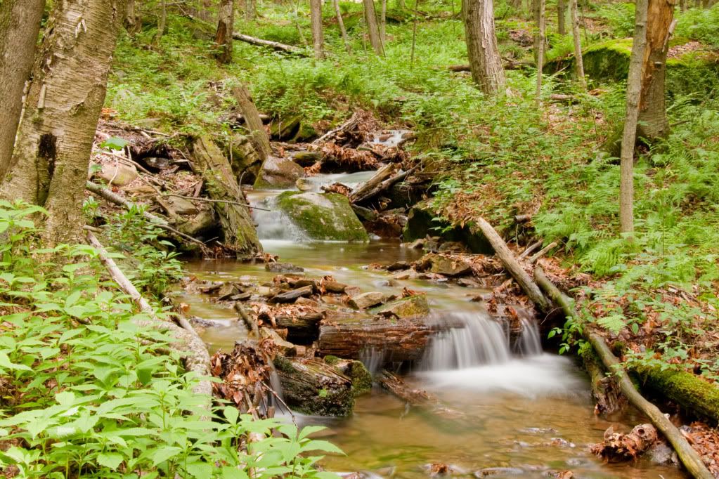 IMAGE: http://i268.photobucket.com/albums/jj8/bragosta/warm44.jpg