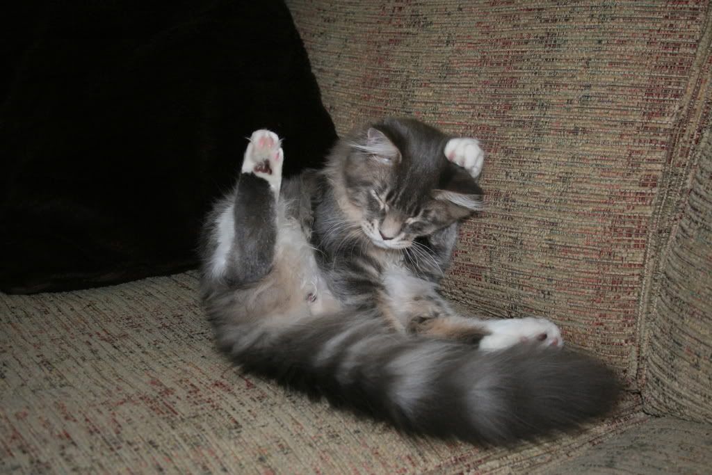 [img width=1024 height=683]http://i268.photobucket.com/albums/jj8/norma1963/002-4.jpg[/img]