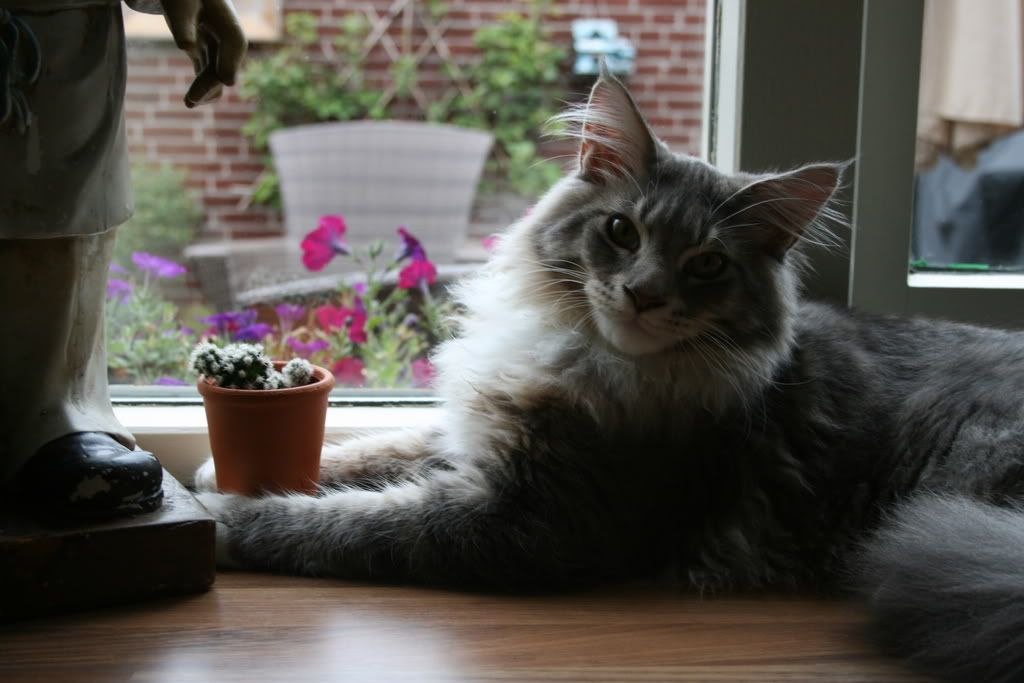 [img width=1024 height=683]http://i268.photobucket.com/albums/jj8/norma1963/016-3.jpg[/img]