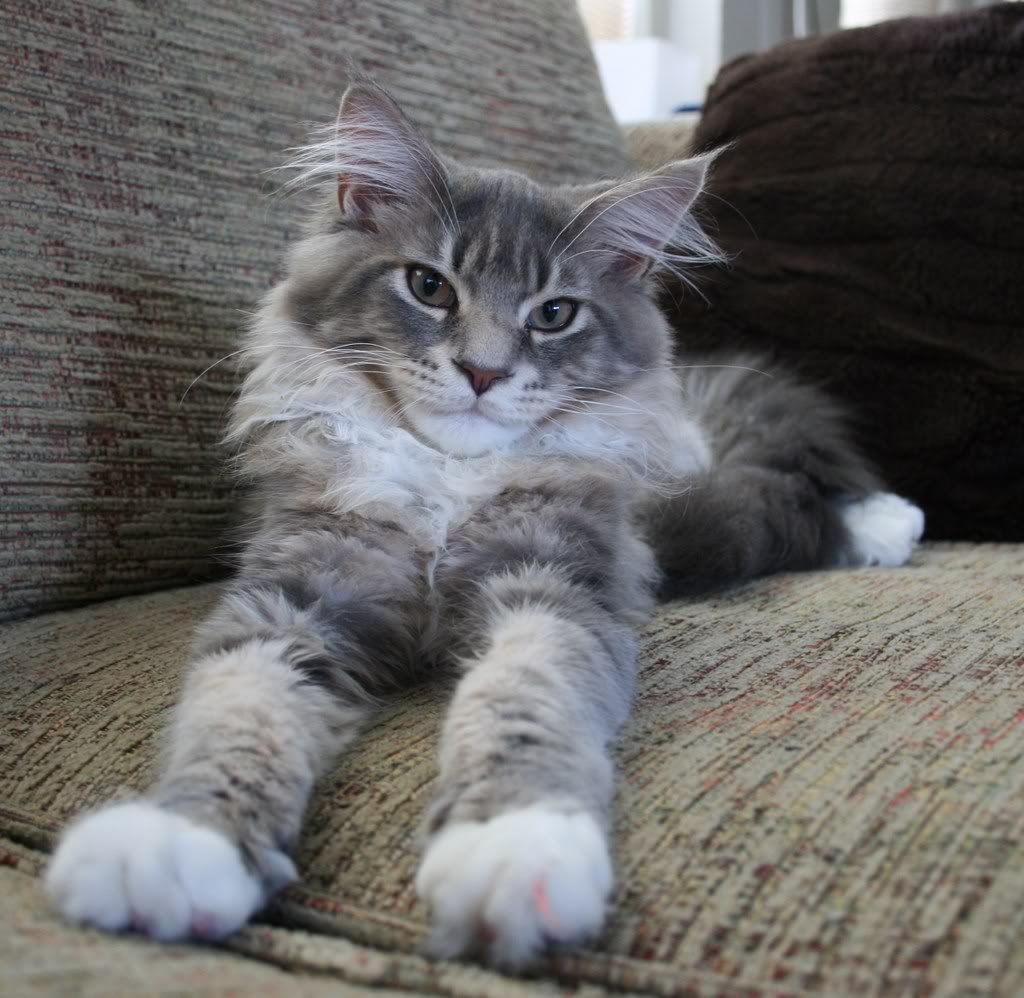 [img width=1024 height=998]http://i268.photobucket.com/albums/jj8/norma1963/025-1.jpg[/img]