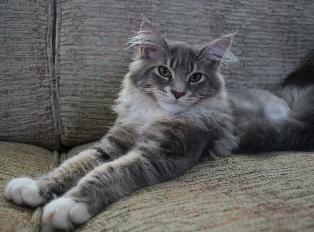 [img width=1023 height=754]http://i268.photobucket.com/albums/jj8/norma1963/029-2.jpg[/img]