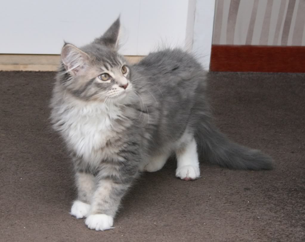 [img width=1023 height=813]http://i268.photobucket.com/albums/jj8/norma1963/040.jpg[/img]