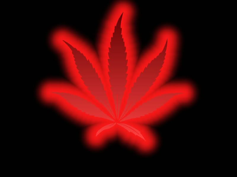 ganja wallpapers Navigation : ganja wallpaper