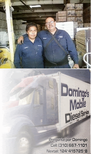 Domingo mobile services