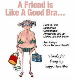 friend like a good bra