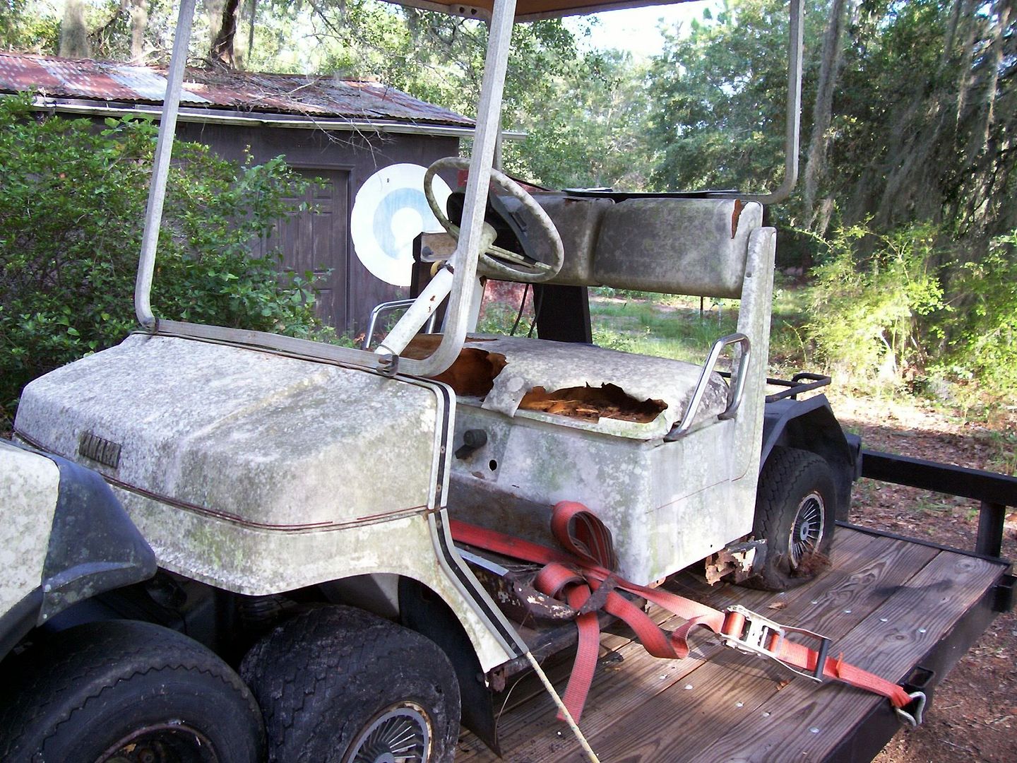 carts004.jpg