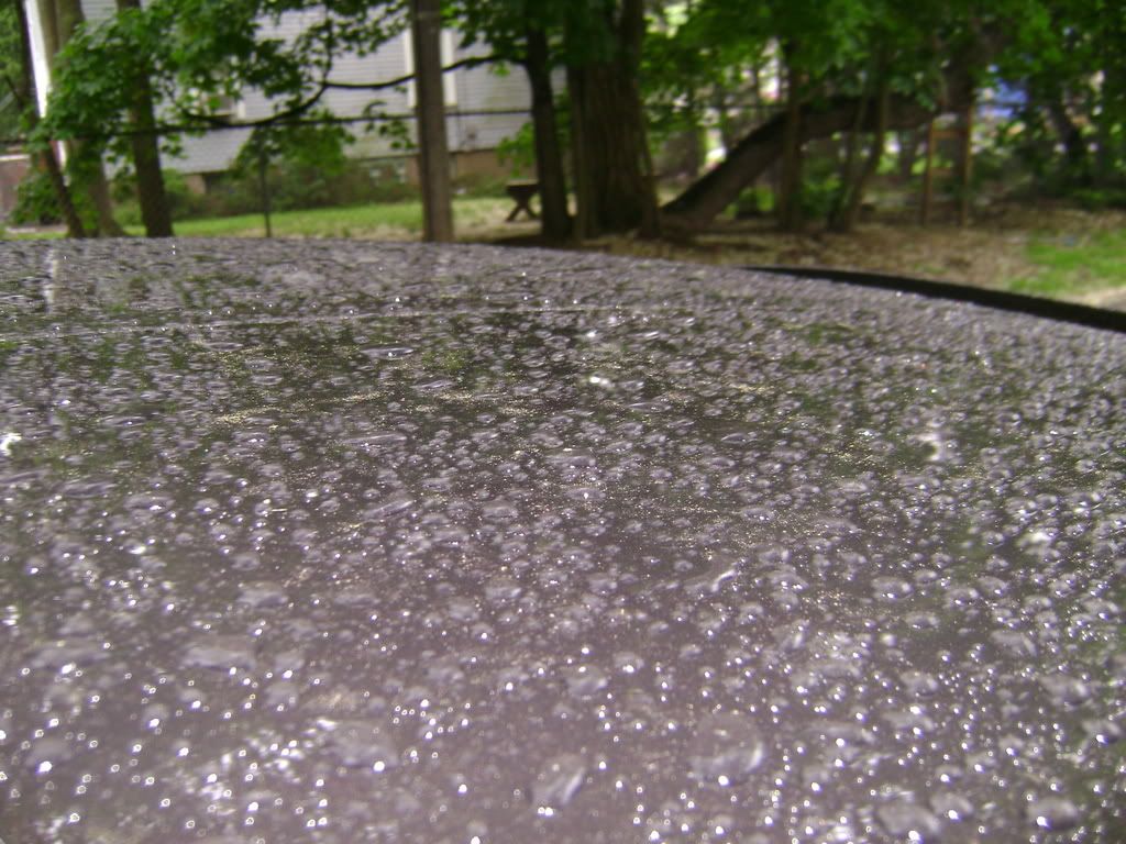 lussoorobeeds005.jpg