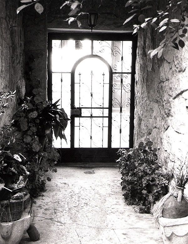 [PokeCommunity.com] B&W Photography