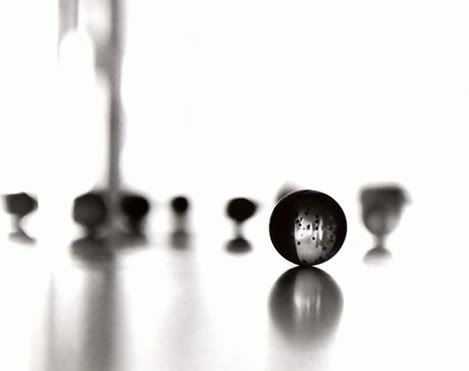 [PokeCommunity.com] B&W Photography