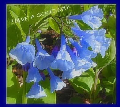 Good-day51308.jpg