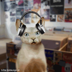 trancemusickitty.gif