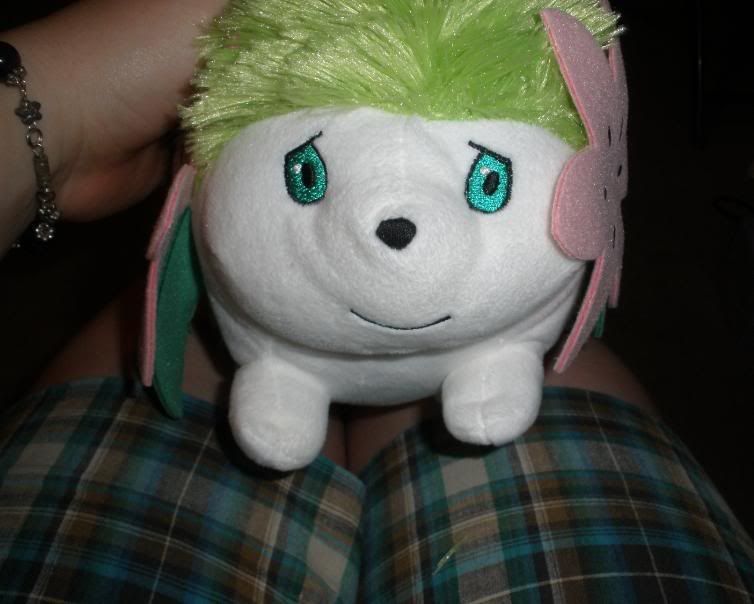 shayplush3.jpg picture by Twilmer