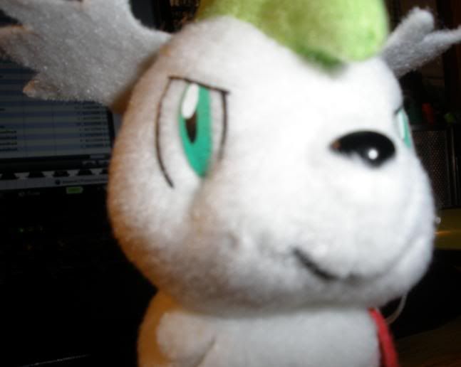 ASM1.jpg picture by Twilmer