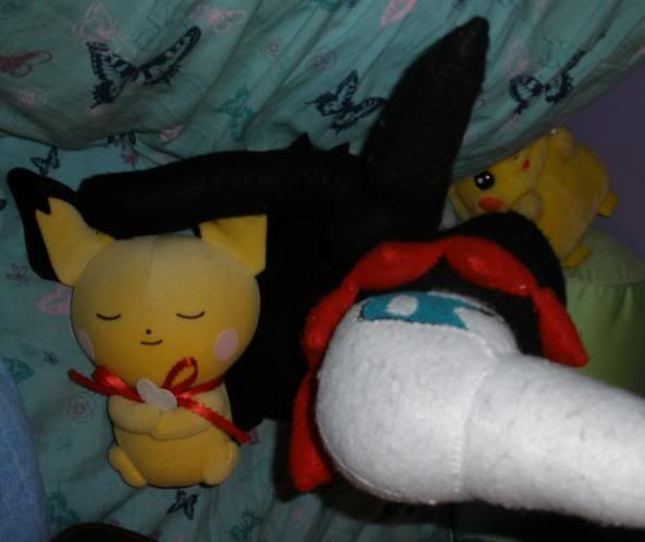 sleepchu.jpg picture by Twilmer