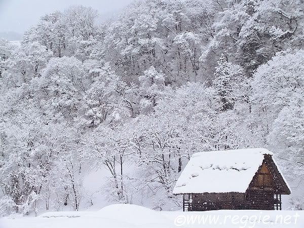 https://i268.photobucket.com/albums/jj31/Sharunas_photos/2707001_shirakawago_barn_snow-600.jpg