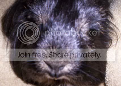 CyrilsEyes-FrontView.jpg